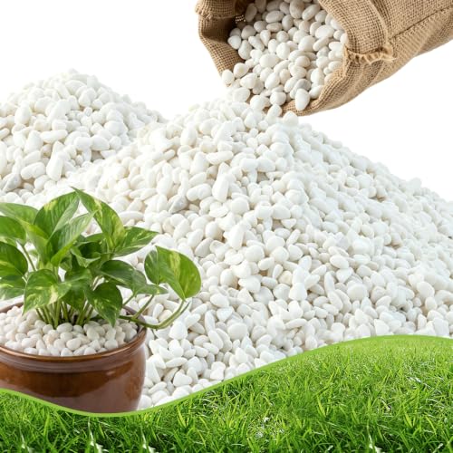 CJGQ 1/4" Small White Rocks for Plants,Potting,Succulents Aquarium Fish Tank Garden Vases Decorative Pebbles Gravel Rocks Stones 45lb - color: white, size: 45lb
