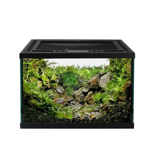 Reptile Glass Terrarium Tank 12 * 12 * 8" Full View with Top Ventilation, Amphibians Habitat Enclosure Cage for Frog,Spiders,Dubia Cockroach,Praying Mantis,Cricket,Tarantula,Hermit Crab - size: 12*12*8inch