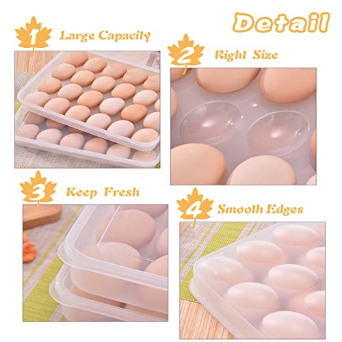 96 Egg Holders for Refrigerator,4 Set Clear Deviled Egg Tray with Lid,Plastic Egg Storage Container,Egg Organizer for Protect and Keep Fresh,24 Egg Tray x 4 Pack - size: 96 Eggs