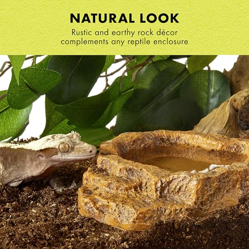 Zilla Terraced Dish, Reptile Feeding Dish, Stable and Spill-Resistant, Ideal for Geckos, Skinks, Snakes and Lizards, Medium - size: Medium