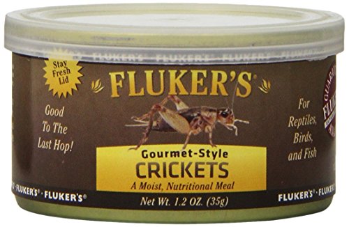 Fluker's Gourmet Canned Food for Reptiles, Fish, Birds and Small Animals, Crickets, 1.2 oz - size: 1.2 Ounce (Pack of 1), style: Crickets