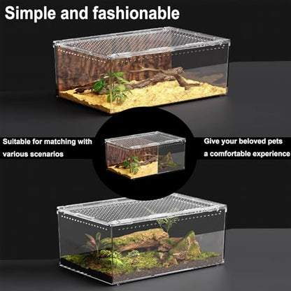 8" x 6"x 3.9" Mini Reptile Terrarium,Small Plastic Terrarium for Lizards Frogs Snakes,Transparent Spider Scorpion Insect Enclosure with Ventilation,for Pet Breeding Molting and Isolation Habitat