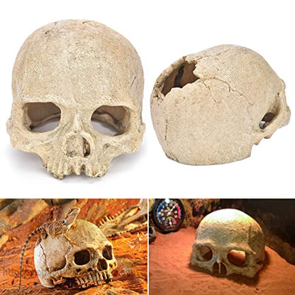 Skull Fish Shrimp Cichlid Hide Cave Reptiles Shelter Lizards Spider Aquarium Decoration Skull Rock Betta Fish Hideout Breeding Hatchery (Skull)