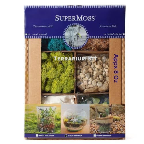 SuperMoss (90420) Beach Terrarium DIY Kit – Create Stunning Nature-Inspired Mini Gardens – Perfect for Home Decor, Office Gifts, and Plant Lovers, Appx 8 Oz