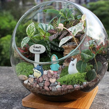 12lbs Horticultural Lava Rocks for Plants, 3/8 Inch Cactus Rocks | Potting Soil Amendment for Succulents, Cacti, Bonsai, Decorative Gravel Plant Drainage Volcanic for Terrarium, Top Dressing