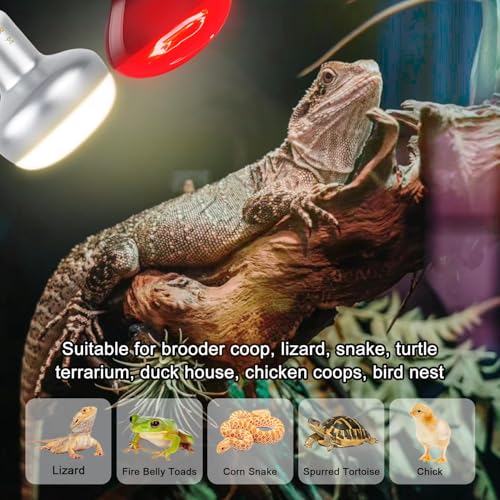 Infrared Reptile Heat Bulb Lamp 75W, 2-in-1 Day & Night Combo, Infrared Heat Lamp & UVA Sunlight Heating Lamp for Reptile Terrariums - style: Day & Night Heat Lamp 75W