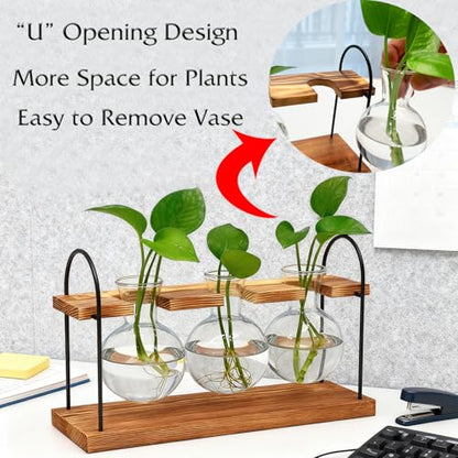 Plant Terrarium with Wooden Stand, Birthday Gift for Women Mom Plant Lover | Retro Glass Plant Propagation Station, Plant Pot Hydroponic, Unique Parent Gardening Gifts, Home Office Garden Decor Planter