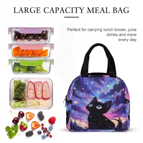 Starry Night Cat Lunch Bag for Women Men | Insulated Lunch Box Leakproof Food Meal Containers Reusable Foldable 6L Capacity Lunch Tote Bags for Work Picnic Travel - color: style-16