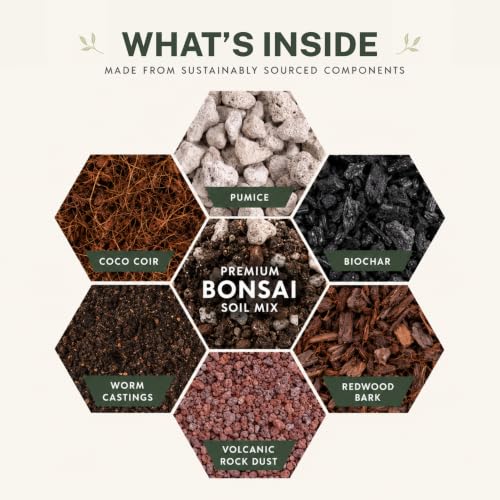Agralife Bonsai Soil 4 Quarts Premium Organic Mix for Indoor Trees | Fast drainage. Healthy roots. Premium organic soil balances moisture and airflow for thriving indoor bonsai tree varieties. - style: Bonsai Plant Soil Mix