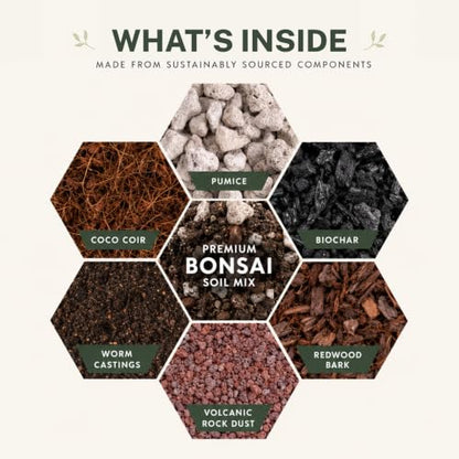 Agralife Bonsai Soil 4 Quarts Premium Organic Mix for Indoor Trees | Fast drainage. Healthy roots. Premium organic soil balances moisture and airflow for thriving indoor bonsai tree varieties. - style: Bonsai Plant Soil Mix