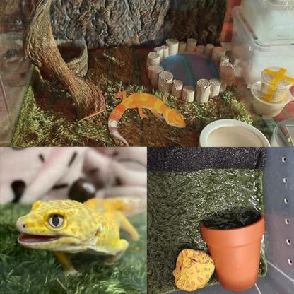 kathson 2Pcs Reptile Carpet Mat,35.4 x 17.7 in Terrarium Bedding Substrate Liner,Tortoise Imitation Rainforest Crawler Mats for Snakes Bearded Dragon Gecko Chameleon Turtles Iguana - color: 2PCS（XXL）：35.43 X 17.71 in