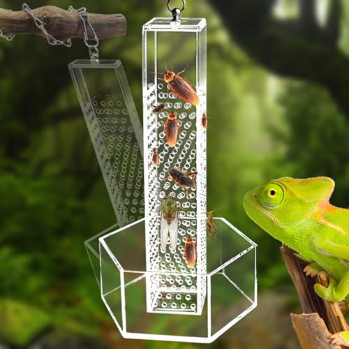 Chameleon Feeding Bowl, Hanging Transparent Acrylic Bearded Dragon Feeder, Hookable Lizard Feeder, Column for Insects to Climb Suitable for Lizard, Iguana, Gecko,Bearded Dragon