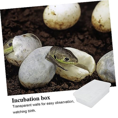 UPKOCH 20grids Practical Hatching Box for Reptile Eggs Design for Easy Monitoring Incubator for Snakes Lizards and Turtles Lightweight and Easy to Clean