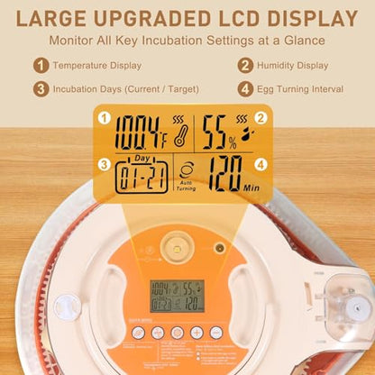 Series V-Fully Automatic 26 Egg Incubator, Spill-Proof Bottle-Free Water System, Precise Sensor-Based Humidity & Temp Control, Adjustable Auto Egg Turn, Preset Incubation Days (26-Egg-Orange) - size: 26-Egg-Orange