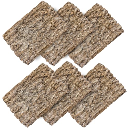 Hamiledyi 6PCS Cork Terrarium Background 15.7x11.8in Natural Large Cork Bark Backdrop Reptile Climbing Mat Tank Accessories Habitat Decor for Spider Lizard Chamelon Turtle Beared Dragon - size: 6PCS-15.7x11.8in