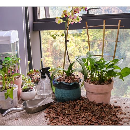 3qt Organic Orchid Potting Bark -Natural Mulch for Potted Plants, Root Development of Orchid Plants and Garden Soil Amendment Mix - color: Small, size: 3qt