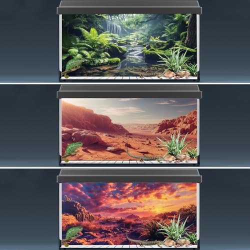3 Pack Terrarium Background, 60x24 inch Polyester Reptile Background | Cloth Terrarium Background, Gobi Sunshine Cactus Stone & Green Tree Fern Stream Backgrounds, Backgrounds for Reptile Tank - size: 60x24 Inch