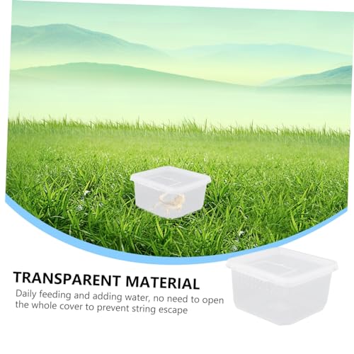 Angoily 2pcs Box Mini Reptile Container Insect Container Spider Box for Feeding Breathing - color: Transparentx2pcs, size: 12X12X7CMx2pcs
