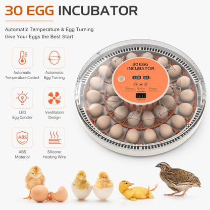 30 Egg Incubator with Automatic Egg Turning, Temperature Control and Humidity Monitor Incubators for Hatching Eggs, Chicken, Ducks, Goose, Pigeon, Quail, Parrot Incubator for Farm, Lab