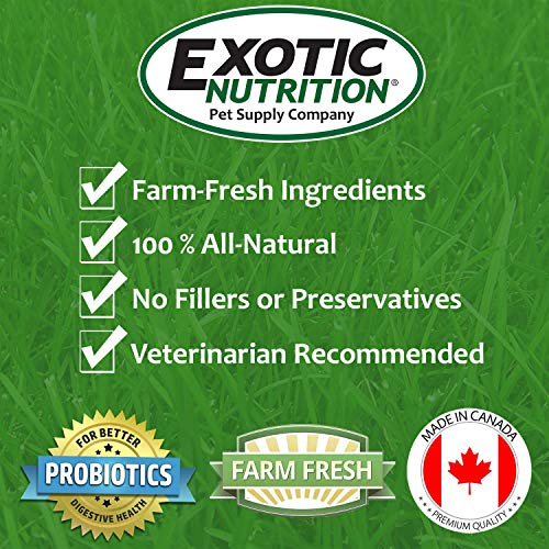 Timothy Pellets (4 lb.) - 100% All Natural, High Fiber, Sun Cured Timothy Hay Grass Food & Treat - Rabbits, Guinea Pigs, Chinchillas, Degus, Prairie Dogs, Tortoises, Hamsters, Gerbils, Rats - size: 4 Pound (Pack of 1)