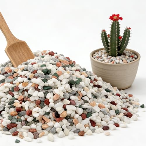 1/8 Inch Natural Aquarium Gravel, Small Pebbles for Fish Tank, Indoor Plants & Succulents, Mixed Color Mini River Rocks for Drainage, Terrarium, Top Dressing & Vase Filler, 3 lb - color: Mixed Color, size: 3LB