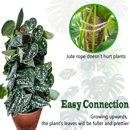 2 Pack 17 Inch Moss Pole, Stackable Moss Poles for Climbing Plants Monstera, Tall Plant Sticks Accessories, Large Coir Plant Support Stakes for Potted Plants Indoor, Pothos, Philodendron - size: 2 pack 17in
