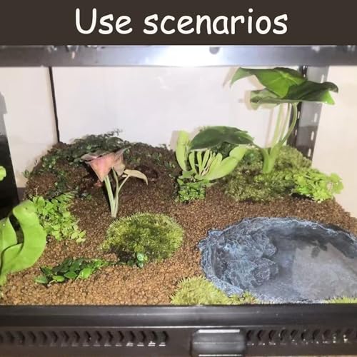 RUIAN Reptile Feeding Bowl Dish Bearded Dragon Food Water Terrarium Dish for Lizards, Geckos, Snakes, Tortoises, Chameleons(Large) - color: Deep blue
