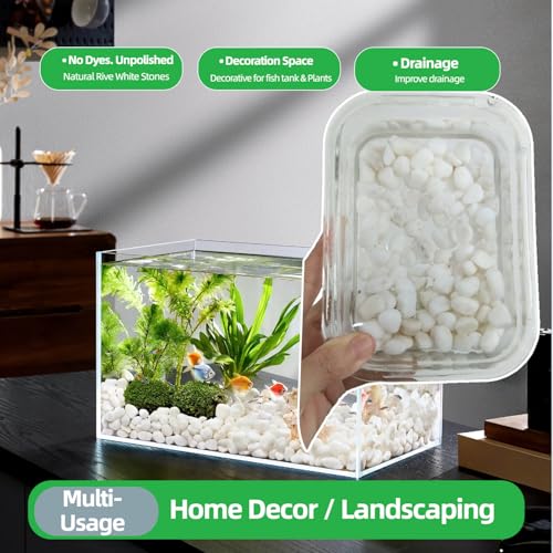 5 LB White Gravel 0.5 Inch Pebbles for Plants & Aquarium | White Gravel for Plants, Succulents, Cacti, Aquariums, Fish Tanks, Vases, Landscaping & Indoor Decorative