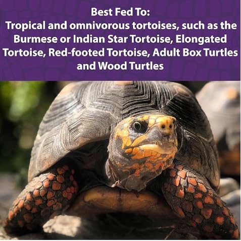 Mazuri | Tortoise Diet | 1.25 Pound (1.25 LB) Bag (Pack of 2) - size: 20 Ounce (Pack of 2)
