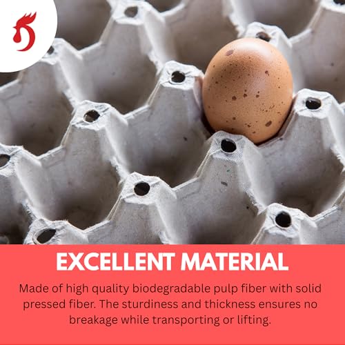 Economy Egg Cartons Bulk - 30 Cell Pulp Fiber Egg Flats for Chickens & Ducks - Reusable Stackable Cardboard Tray for Home Storing & Packing (65)
