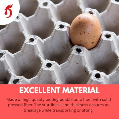 Economy Egg Cartons Bulk - 30 Cell Pulp Fiber Egg Flats for Chickens & Ducks - Reusable Stackable Cardboard Tray for Home Storing & Packing (65)