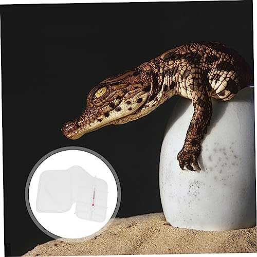 Egg Incubator Box Compartment Reptile Hatchery Breeding for Snakes Lizards Safe Eco-Friendly
