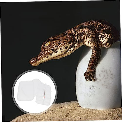 Egg Incubator Box Compartment Reptile Hatchery Breeding for Snakes Lizards Safe Eco-Friendly