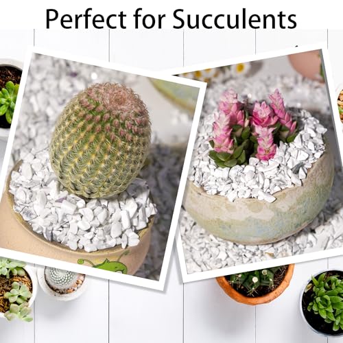 Howlite Chips Bulk 1lb, 1200+ Pieces, 5-8mm Natural Gemstones - color: Howlite, size: 1LB