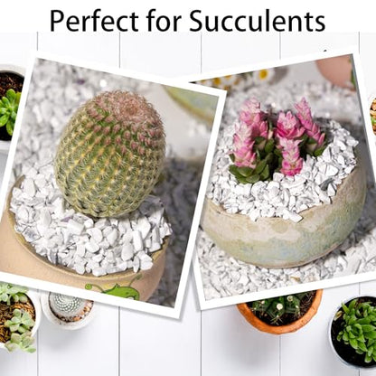 Howlite Chips Bulk 1lb, 1200+ Pieces, 5-8mm Natural Gemstones - color: Howlite, size: 1LB