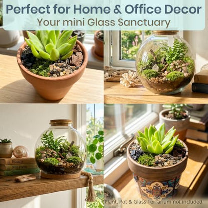 DIY Terrarium Kit for Succulents & Air Plants, Terrarium Starter Kit with Organic Soil, Orchid Bark, Horticultural Charcoal, River Rocks & Preserved Moss for Fairy Gardens & Mini Terrariums (Large)