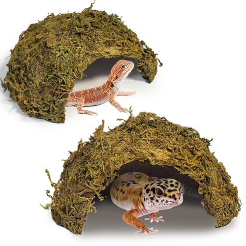 Tfwadmx 2Pcs Leopard Gecko Hide, Coconut Reptile Hides Cave, Snake Hideout Mossy Caves Climbing Hide Reptile Tank Decor for Lizard Gecko Hermit Crab