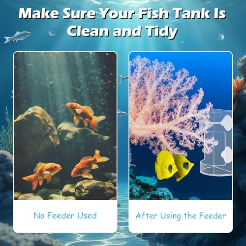 Round Fish Tank Feed Tray with Scale and Suction Cup, Feeding Tube Supplies, Tank Divider Supplies, Breeder Box for Aquarium, Round Aquariums & Fish Bowls Accessories - color: 3.Transparent