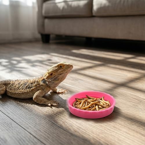 6 Pcs Gecko Food Cups, Crested Gecko Food and Water Bowl Reusable Silicone Crested Dish Feeding Cups for Lizard Anoles Bearded Dragons Tank Terrarium Accessories Supplies for Tortoise