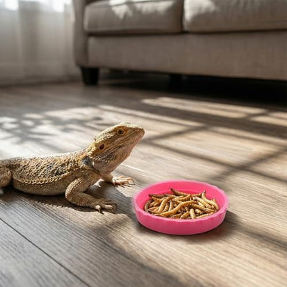 6 Pcs Gecko Food Cups, Crested Gecko Food and Water Bowl Reusable Silicone Crested Dish Feeding Cups for Lizard Anoles Bearded Dragons Tank Terrarium Accessories Supplies for Tortoise