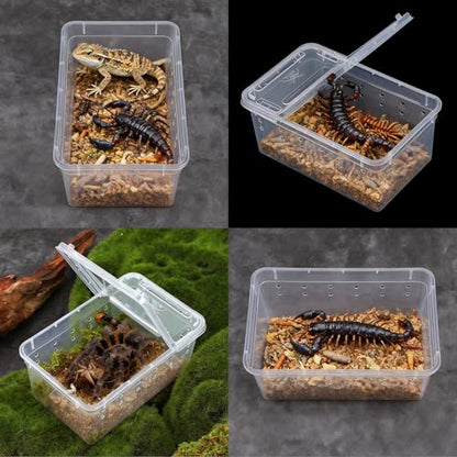 10 Pcs Reptile Breeding Box, Clear Plastic Terrarium with Vent Holes, Small Animal Enclosure for Spider Scorpion Lizard Insect, 5.9x3.9x2.55 Inch