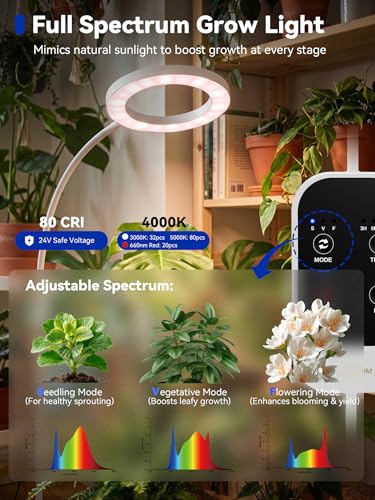 Grow Lights for Indoor Plants,Full Spectrum Plant Light with Stand | 36W Floor Grow Light with Adjustable Height, 3/9/12 Timer, Dimming & 3 Growth Modes for Houseplants, Herbs and Indoor Gardens - color: White-Double Head