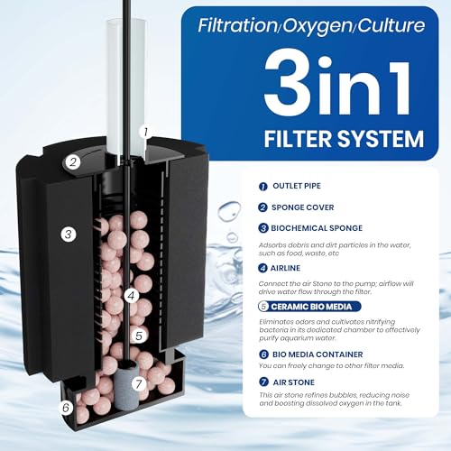Aquarium Bio Sponge Filter with Air Stone for Betta Tank | Clear and Quiet Aquariums for Betta Fry Shrimp Tiny Fish Tank
