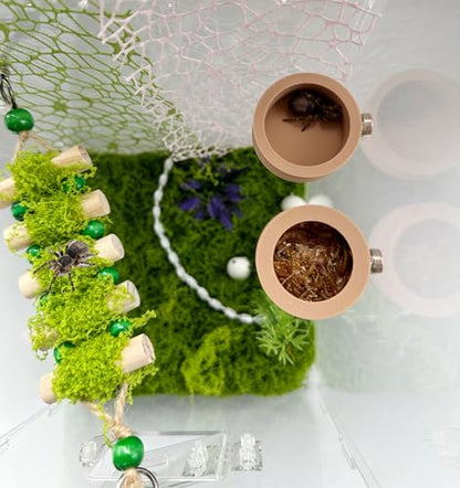 2 Pcs Anti- Escape Jumping Spider Food Bowl with Magnet Water Feeder Bowls Mini Reptile Feeder for Jumping Spider, Gecko etc, Round