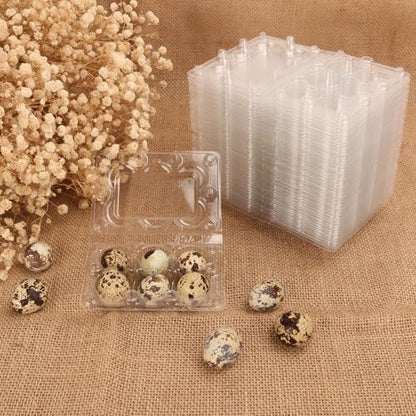 300 Pack Quail Egg Cartons, Clear Plastic Quail Egg Trays, Holds up to 6 Quail Eggs Securely - Your Ultimate Small Eggs Carton Holders for Bulk Storage and Display - size: 300 Pack Quail Egg Cartons 6 Grids