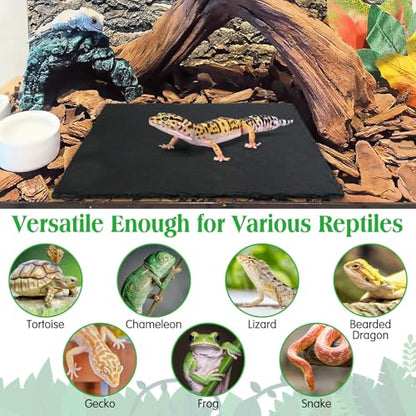 Tfwadmx Reptile Basking Platform, Tortoise Feeding Dish, Natural Rock Reptile Food Bowl Landscape Habitat Decor for Turtle Lizard Bearded Dragon Crested Gecko Snake - size: 1pcs-12"x6"