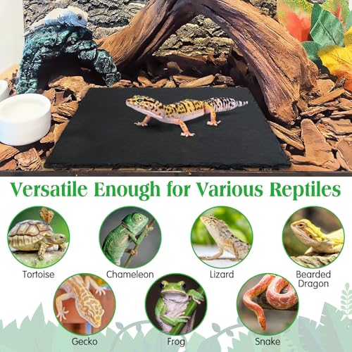 Tfwadmx Reptile Basking Platform Tortoise Feeding Dish Natural Rock Food Bowl Landscape Habitat Decor for Turtle Lizard Bearded Dragon Crested Gecko Snake 2Pcs - size: 2pcs-12"x6"