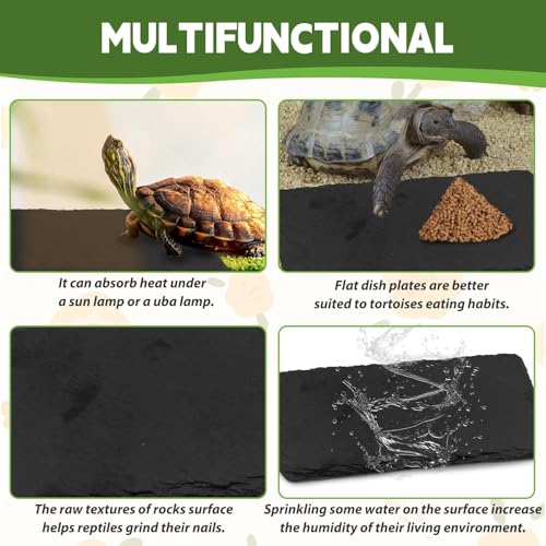 kathson 2 PCS Reptile Basking Platform (15.7 x 11.8 inches), Natural Rock Plate Turtle Food Bowl Feeding Dish Resting Terrace Habitat Decor for Tortoise Turtle Lizard Bearded Dragon Crested Gecko - size: 15.7X11.8inch,2PCS