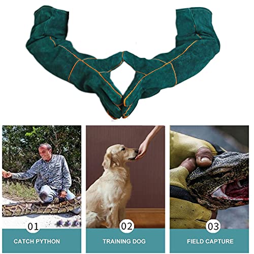 23inch Animal Handling Gloves,Animal Control Gloves Bite | Resistant Snake Proof Cowhide Reinforced Leather Protection Dog Training Glove for Cats Scratch Reptiles Birds Falcon - color: Green（23.62"）