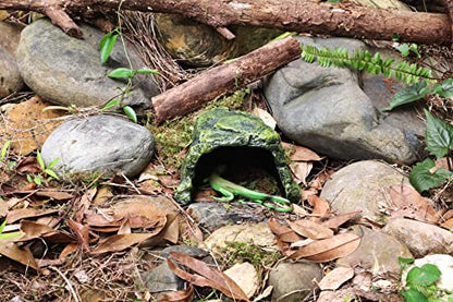 Reptile Cave Climb Hideout Hideaway – Stone Cave Shelter Hiding, Decorative Resin for Aquariums & Terrariums. Ideal for Amphibians,Lizards,Snakes,Bearded Dragons,Geckos,Scorpions,Frogs... Large Size - style: StyleC-Green(Medium Size)